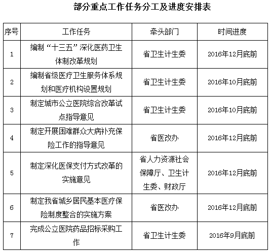 部分重點(diǎn)工作任務(wù)分工及進(jìn)度安排表